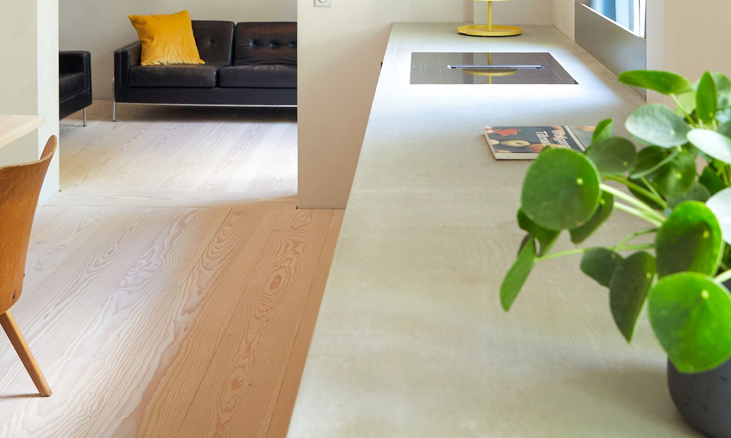 Plan de travail de cuisine avec plaque de cuisson et plante; à l’arrière-plan, canapé avec coussin jaune; dans une pièce lumineuse