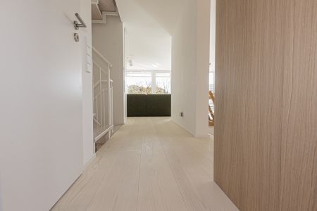 Modernes Einfamilienhaus mit Weißtanne Systemdielen