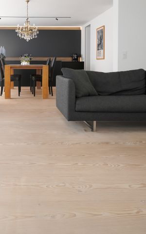 Privatvilla, Emsdetten