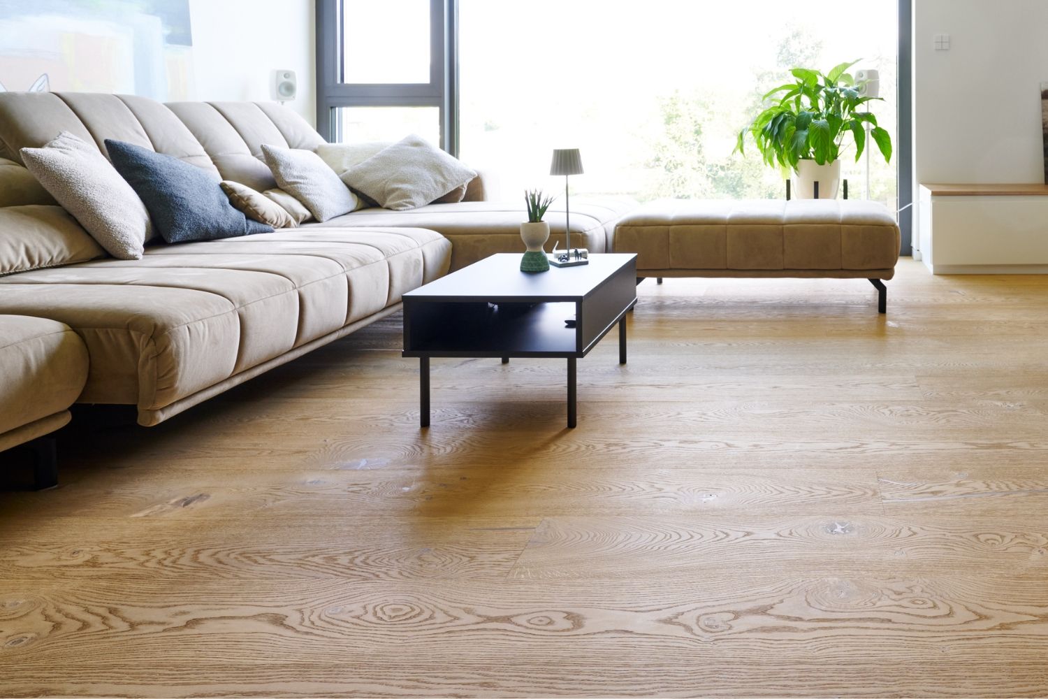 Helles Wohnzimmer mit beiger Eckcouch, mehreren Kissen, schwarzem rechteckigem Couchtisch und großer Pflanze am Fenster.