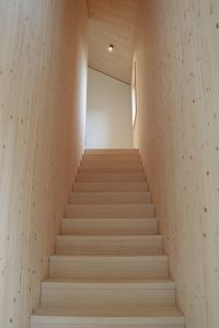 Holz Innen und Außen: Modernes Einfamilienhaus
