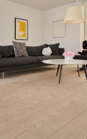 Privatvilla, Emsdetten