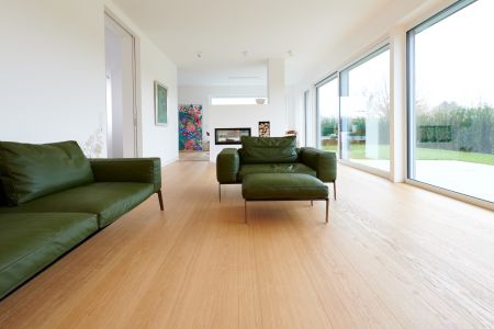 Privatvilla, Frankfurt