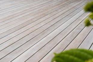 Bedburg-DGL-Rift-Terrassendiele_2024.jpg