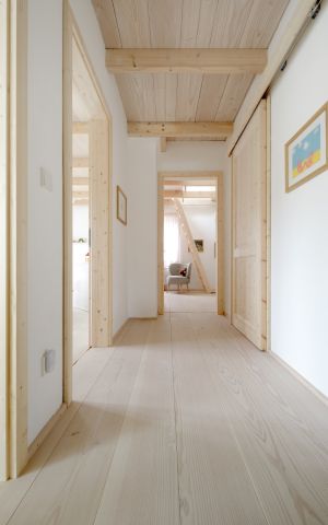 Einfamilienhaus im skandinavischen Stil, Itzehoe