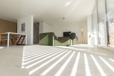 Modernes Einfamilienhaus mit Weißtanne Systemdielen