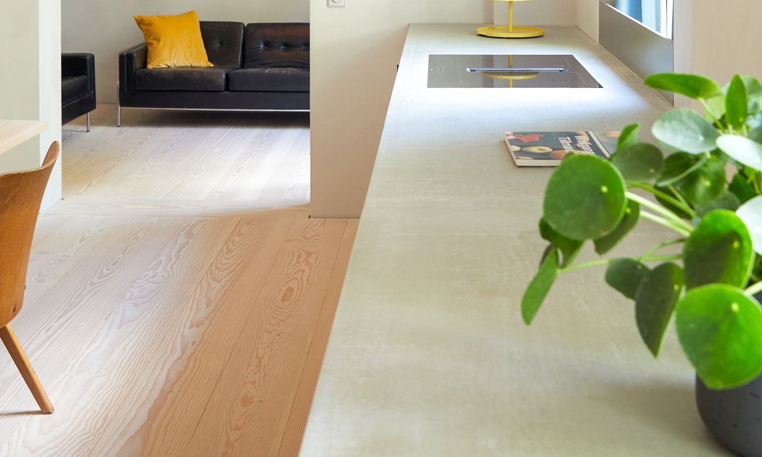 Küchenarbeitsplatte mit Kochfeld und Pflanze; im Hintergrund Sofa mit gelbem Kissen; in hellem Raum