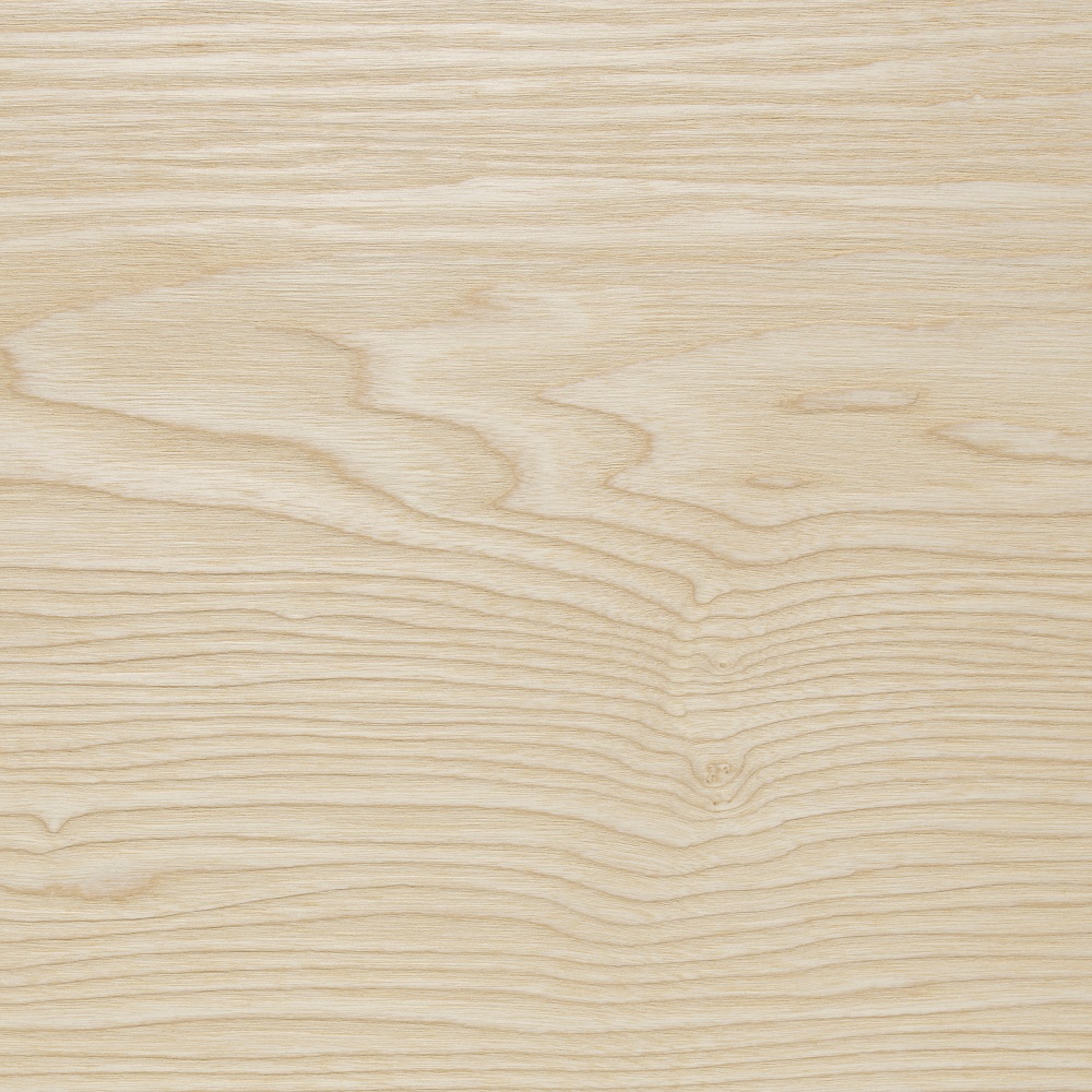 Esche Struktur Dielenholzoberfläche mit sichtbarer Maserung und Ästen