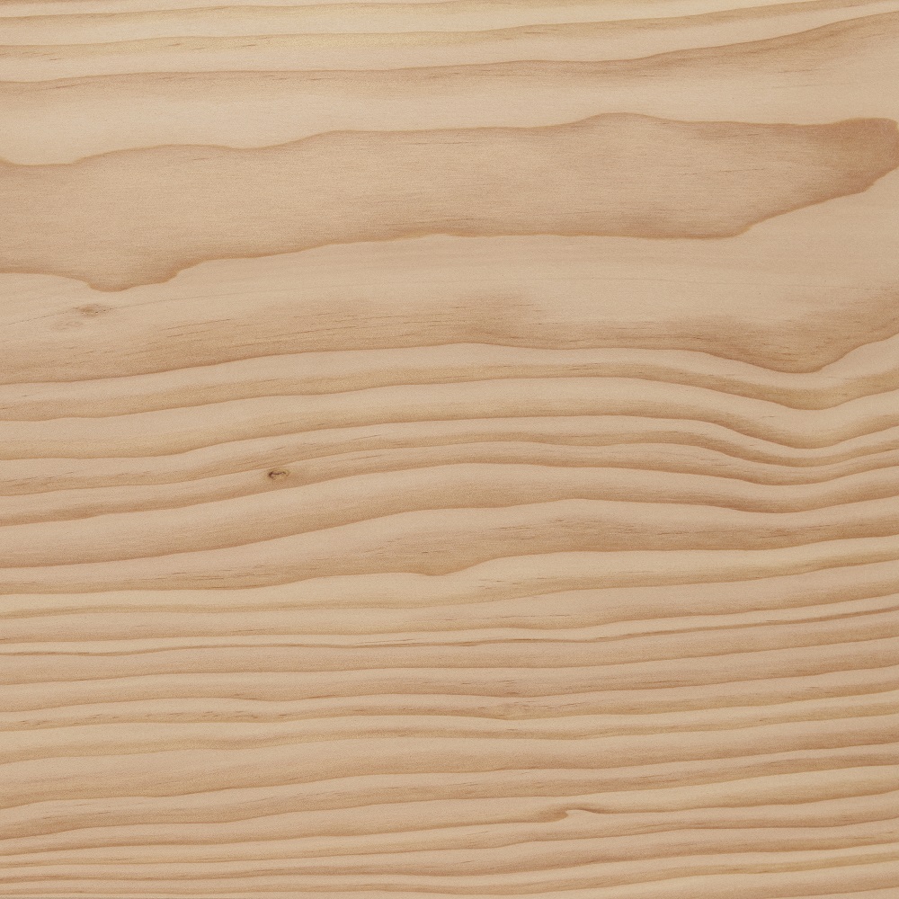 Gros plan d’une surface en bois de Douglas avec veinage visible, nœud et poncage fin.