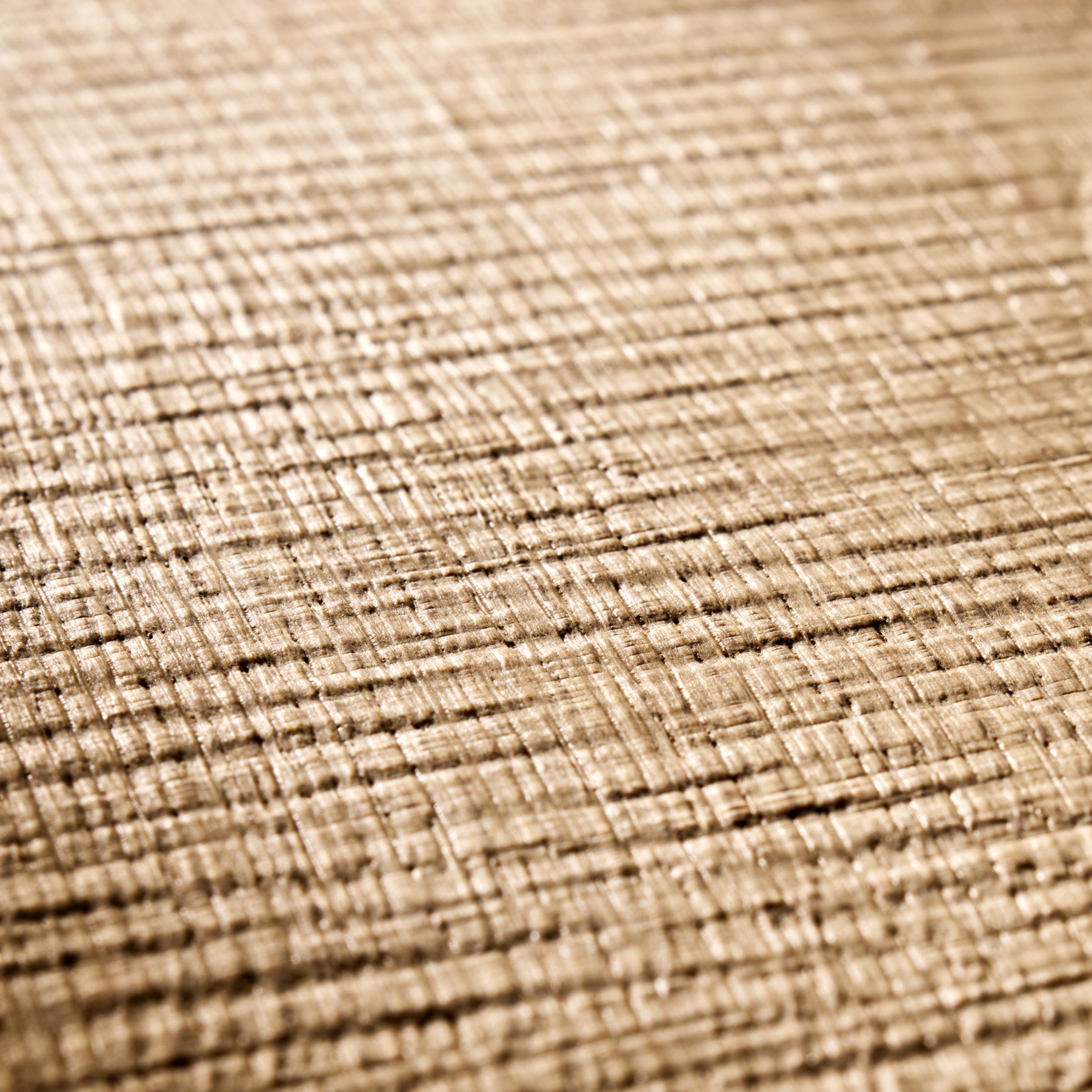 Gros plan sur une structure de chêne sciée brute, avec une surface marquée, un veinage apparent et de fines fibres entrecroisées dans une teinte naturelle.